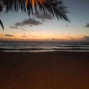 Meet your Posher, Dakota